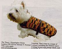 Image result for Burberry Dog Coat
