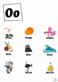 Image result for Words Beginning with O for Kids