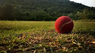 Image result for Cricket Grass