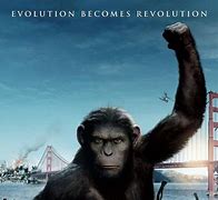 Image result for Planet of the Apes Liberty Meme