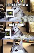 Image result for Brown Bat Dog Meme