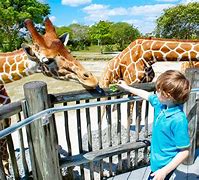 Image result for Nearest Zoo