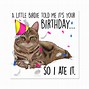Image result for Funny Cat Birthday Party Meme
