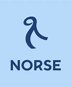 Image result for Norse Team Logo