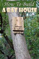 Image result for Build Bat House