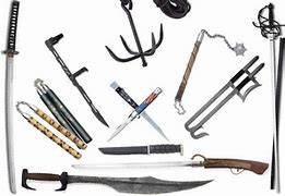 Image result for Martial Arts Weapons