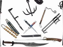 Image result for Martial Arts Weapons List