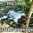 Image result for Snow Storm Meme