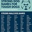 Image result for Manly Dog Names