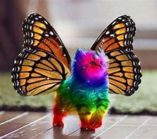 Image result for Unicorn Cat Real