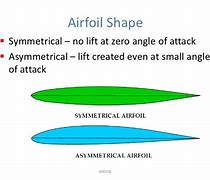 Image result for What Is the Difference Between a Wing and a Flipper