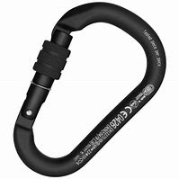 Image result for Pear Carabiner