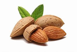Image result for Almond