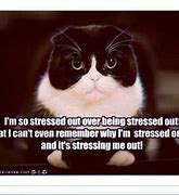 Image result for No Words Funny Stress Out Animal