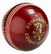 Image result for New Cricket Ball