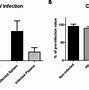 Image result for HIV infection