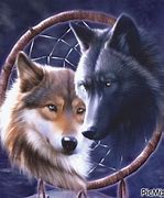 Image result for Wyoming Wolves