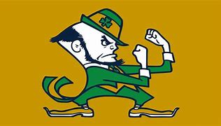 Image result for Notre Dame Football Mascot