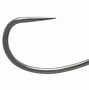 Image result for Fish Hook Transparent