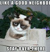 Image result for Grumpy Cat Smiling Meme