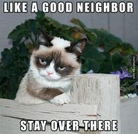 Image result for Yay Grumpy Cat Meme