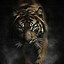 Image result for Running Tiger iPhone Wallpaper