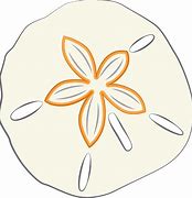 Image result for Sand Dollar ClipArt