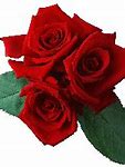 Image result for Rose iPhone Emoji