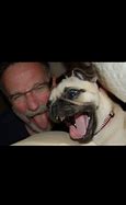 Image result for Waper Pug