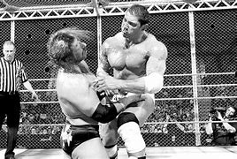 Image result for WWE Wrestling Wrestlers