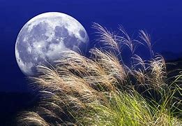 Image result for Anime Moon Background Banner