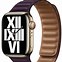 Image result for Apple Watch Bands Egypt