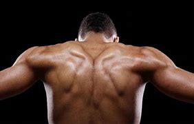 Image result for Giannis Antetokounmpo Ripped