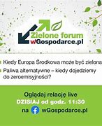 Image result for co_oznacza_zieloni_polska