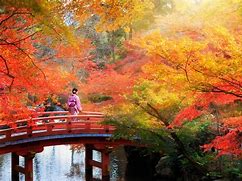 Image result for Autumn Landscape in Japan