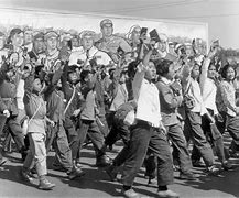 Image result for Chinese Cultural Revolution