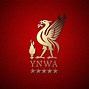 Image result for Liverpool Animated Wallpapers