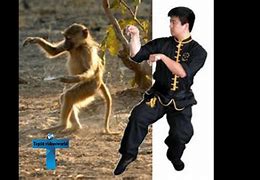 Image result for most deadly martial arts styles