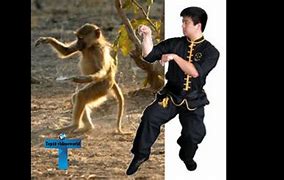 Image result for What is the most dangerous martial arts style?