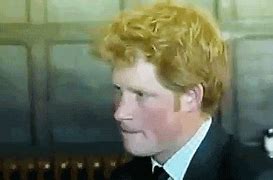 Image result for Prince Harry and His Wife