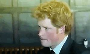 Image result for Prince Harry Package