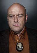 Image result for Who Plays Hank in Breaking Bad