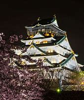 Image result for Osaka Castle Night