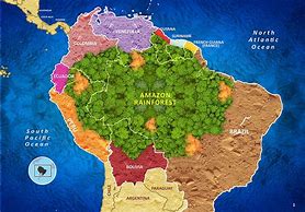 Image result for Amazon Rainforest Located