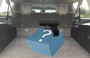 Image result for SUV Gun Box