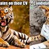 Image result for Recruiter Meme