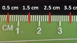 Image result for What Does 6 Centimeters Look Like