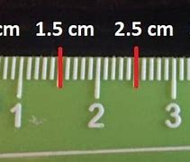 Image result for What Is Half a Centimeter