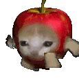Image result for Apple Tag Memes