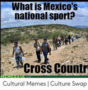 Image result for Sports and Cultural Memes